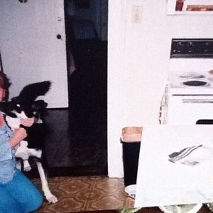 Meet your Posher, Tina